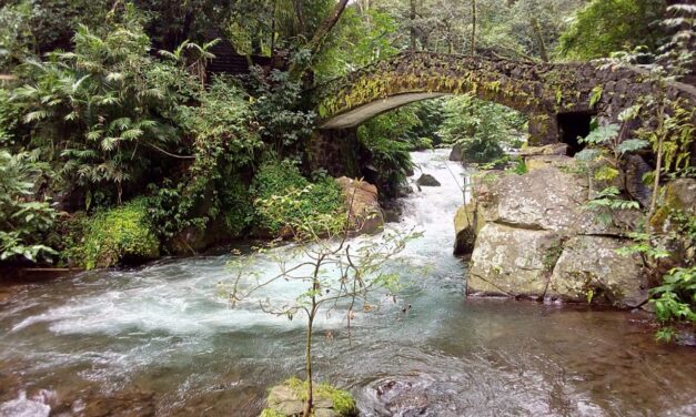 Mi destino es Michoacán