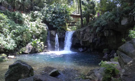 Parque Nacional Barranca del Cupatitzio reabre sus puertas