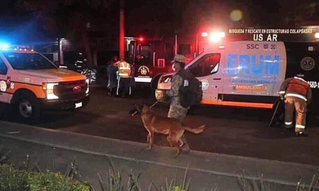 Evil y Ecko, los héroes caninos de la tragedia de la Línea 12