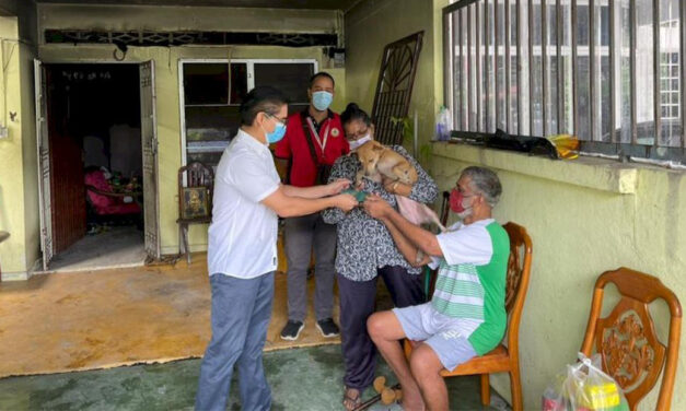 Un perrito no solo protege a su dueño, sino a toda una familia: Conoce esta historia