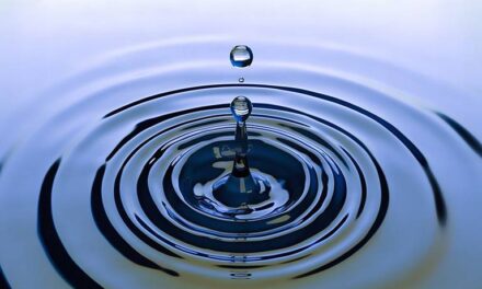Explorando el significado detrás del Día Mundial del Agua, 22 de marzo